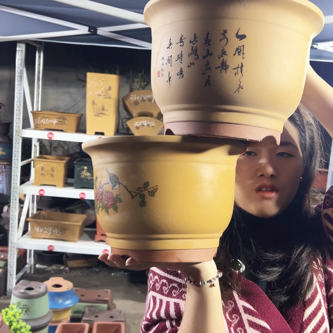 黄色鸟语花香大号一对