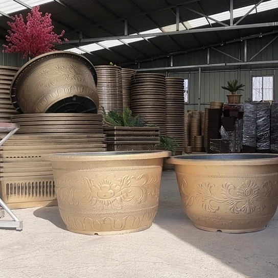 复合毛*盆景886688888