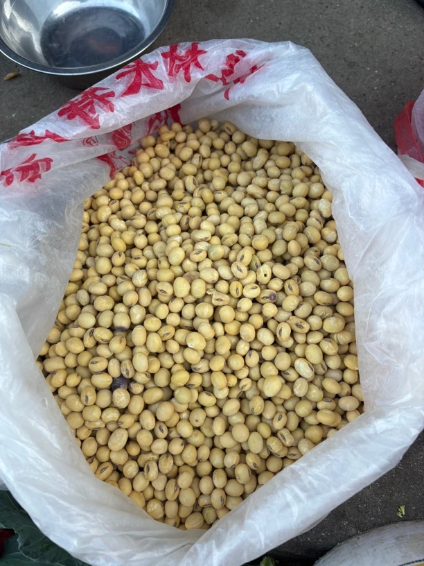 桐城农家自种黄豆【散称包装 介意勿拍】