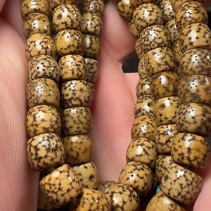 我们都是在这里看到的哈