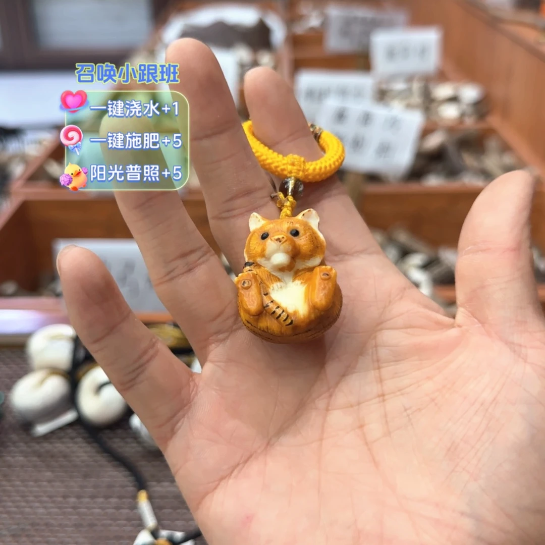 其他鹿骨小虎6666