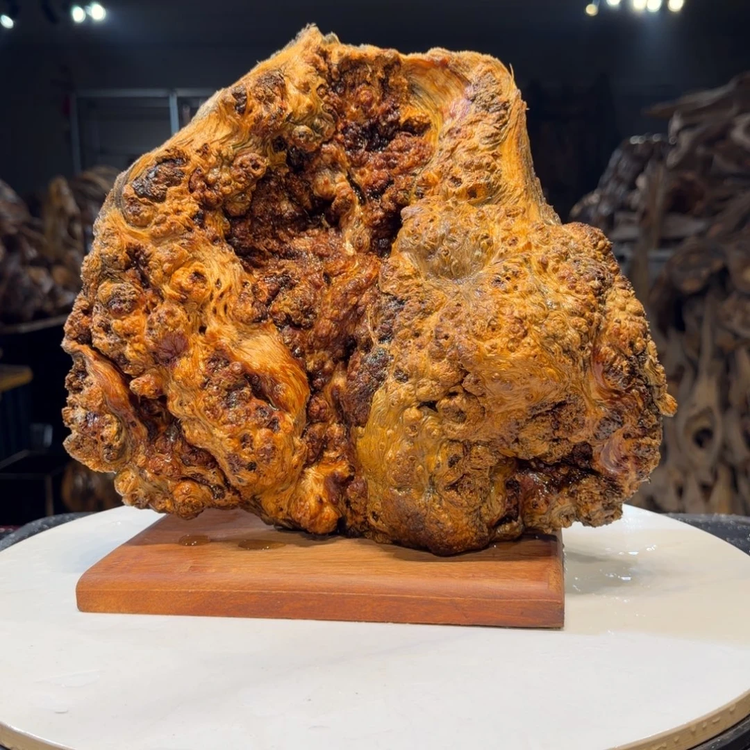 金***品木王一刀琥珀木摆件44