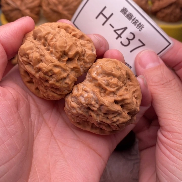 桃核把件开播蛙41…..