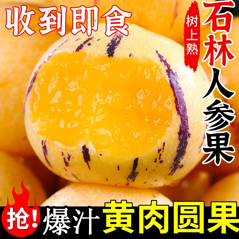 云南石林人参果树上熟黄肉圆果新鲜清甜多汁应季水果维C产地直发