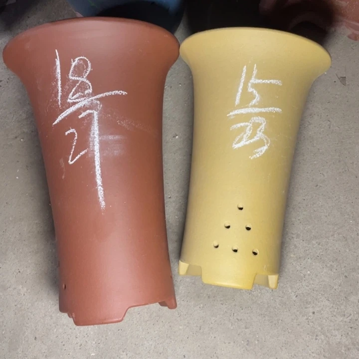 周深周深周深周深周深