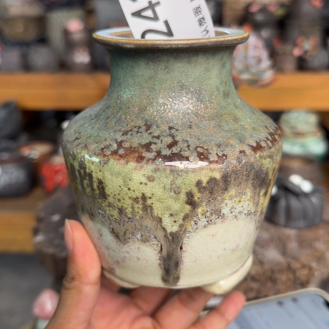 重庆小燕子欢迎大家241