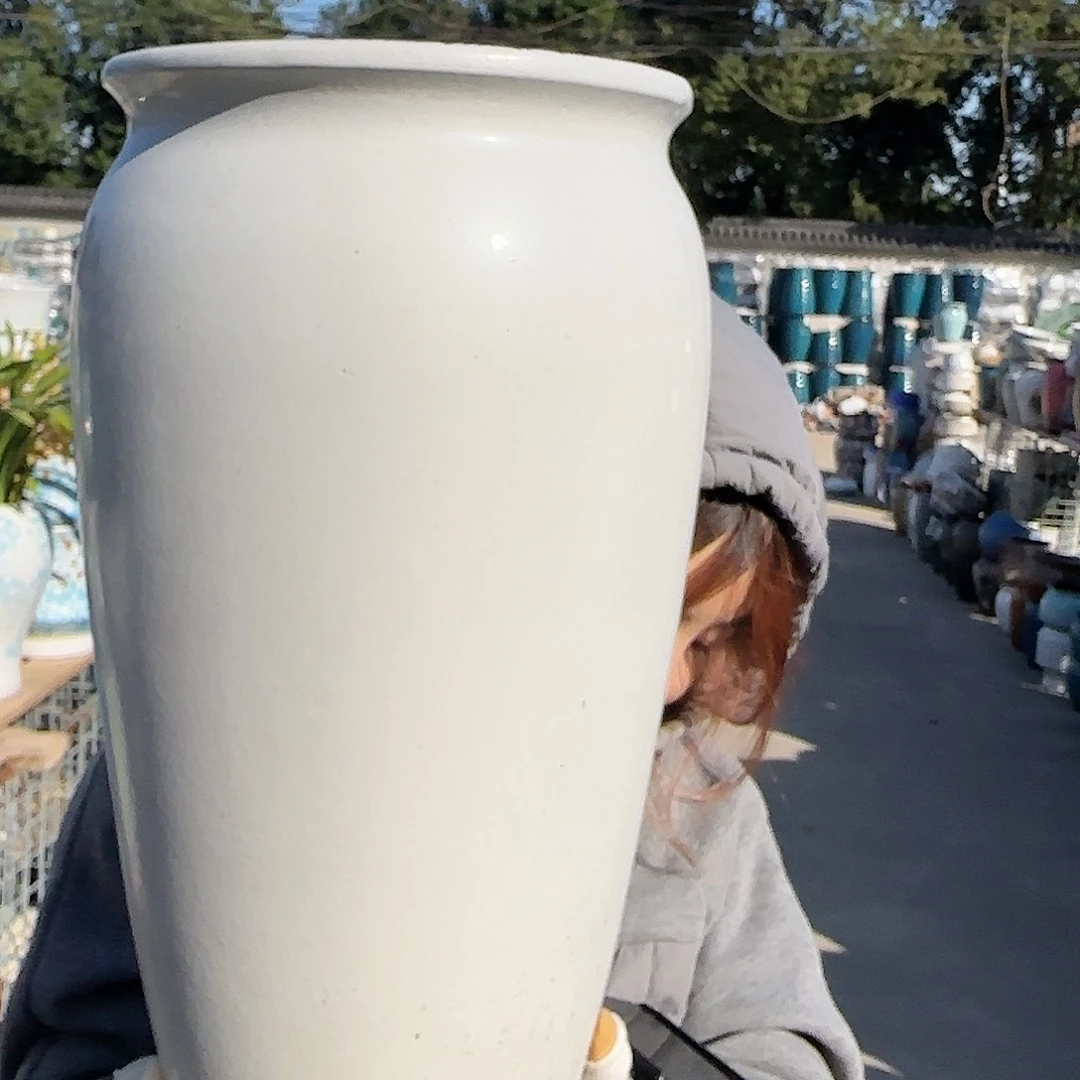 王嫂花盆直播1118-387高42口22