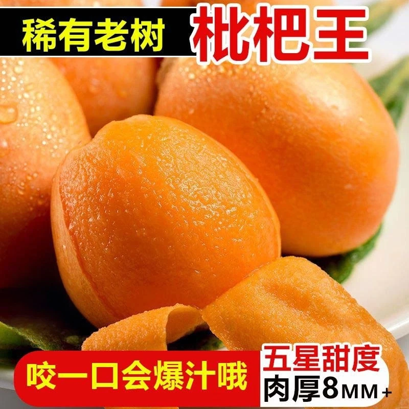 高山应季枇杷果四川琵琶网红新鲜水果人工采摘产地直发应季水果