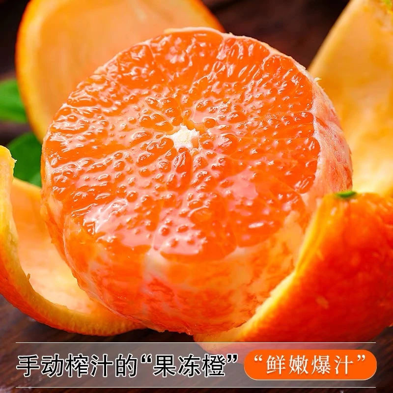 九月红果冻橙新鲜薄皮橙子