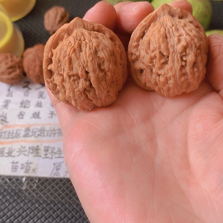 文玩核桃吊坠38尺大密文