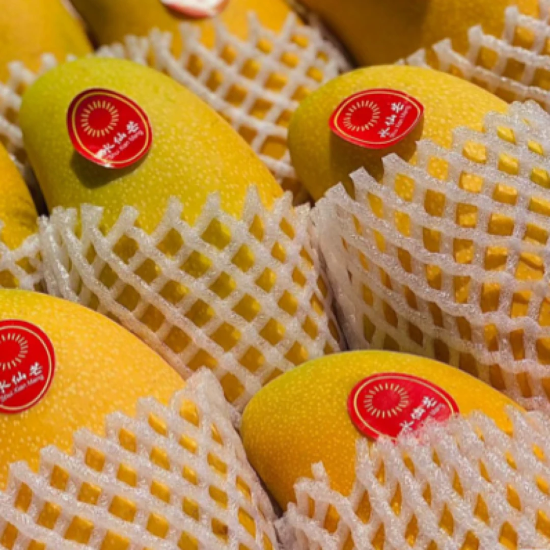 水仙芒一个  约600g