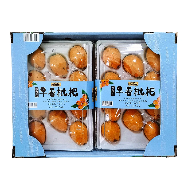 攀枝花米易枇杷（700g）