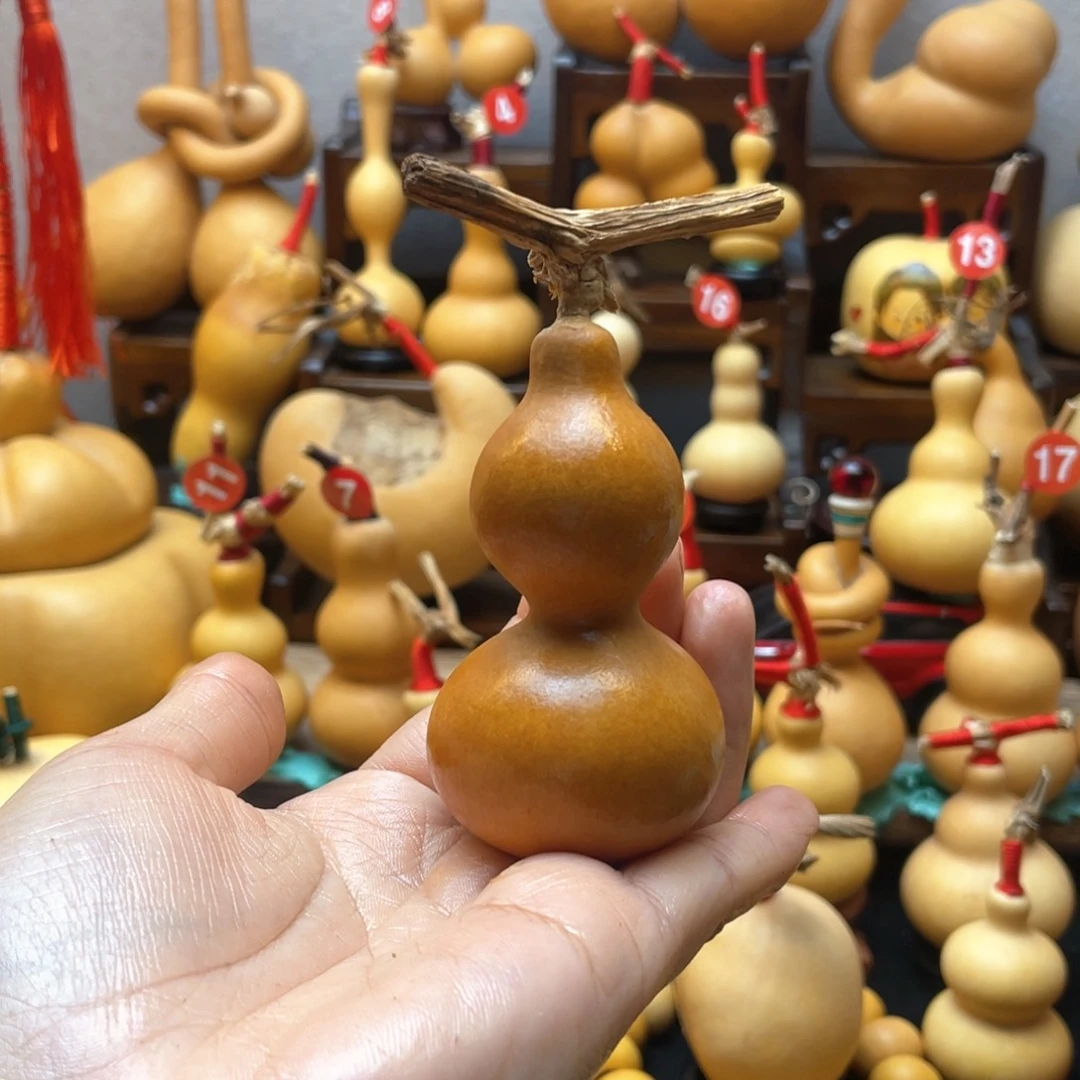 闪*亮大自然的秘密第十一节你是谁的