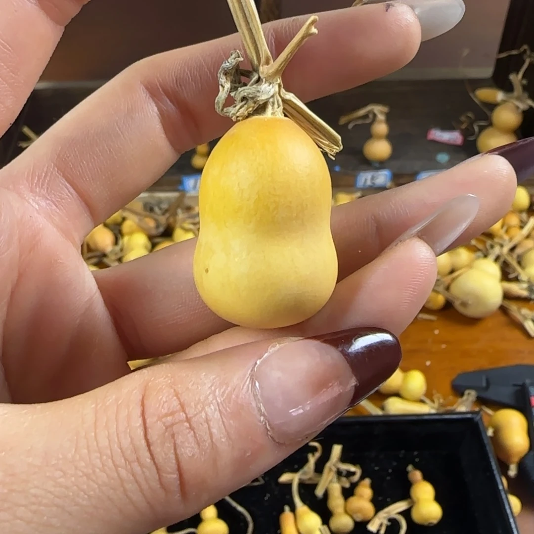 天然草里金小葫芦
