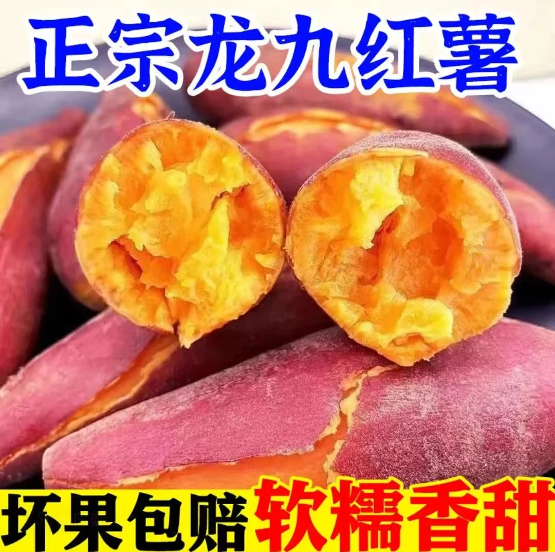【正宗黄心龙九蜜薯】新鲜现挖超甜软糯地瓜番薯五斤装