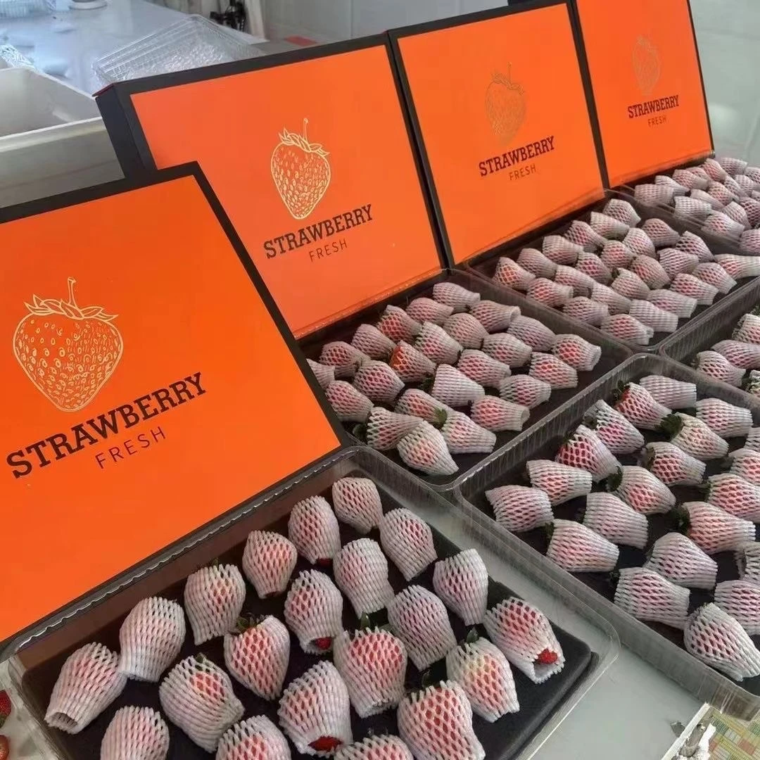 爱马仕礼盒正宗丹东99红颜草莓 新发地现货
