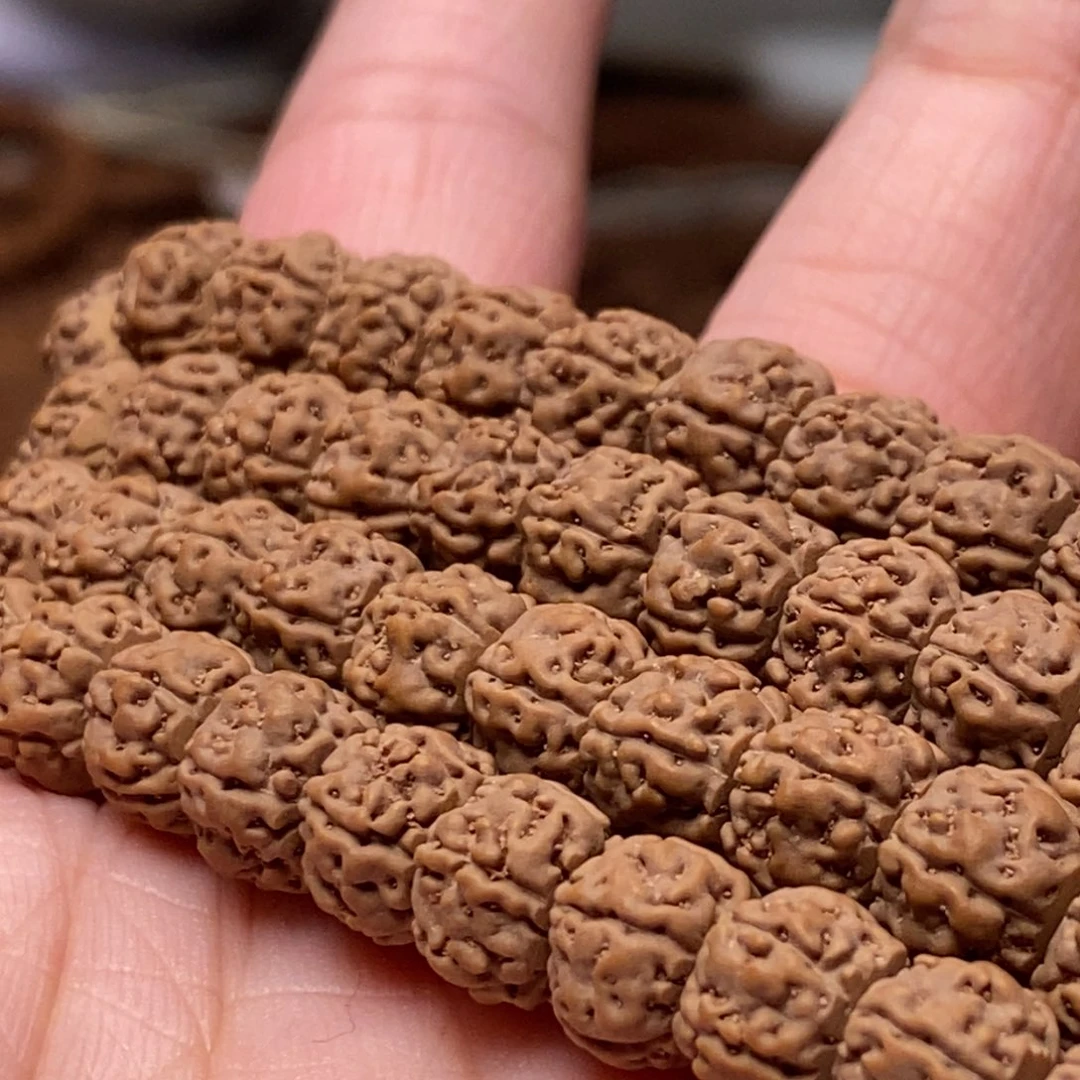 猛***腿菩提籽类藏切盘龙