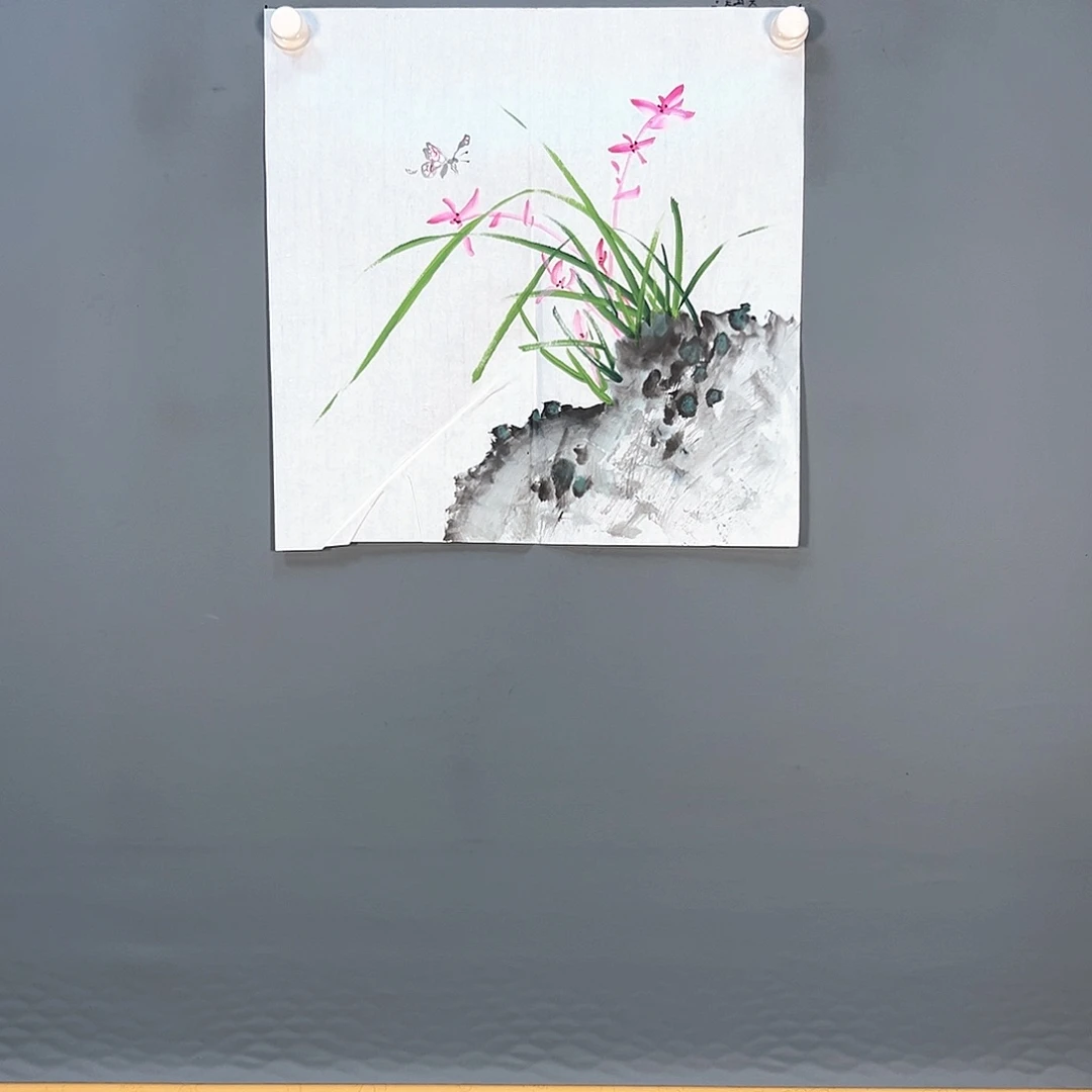 国画905 牡丹等花卉品种均在