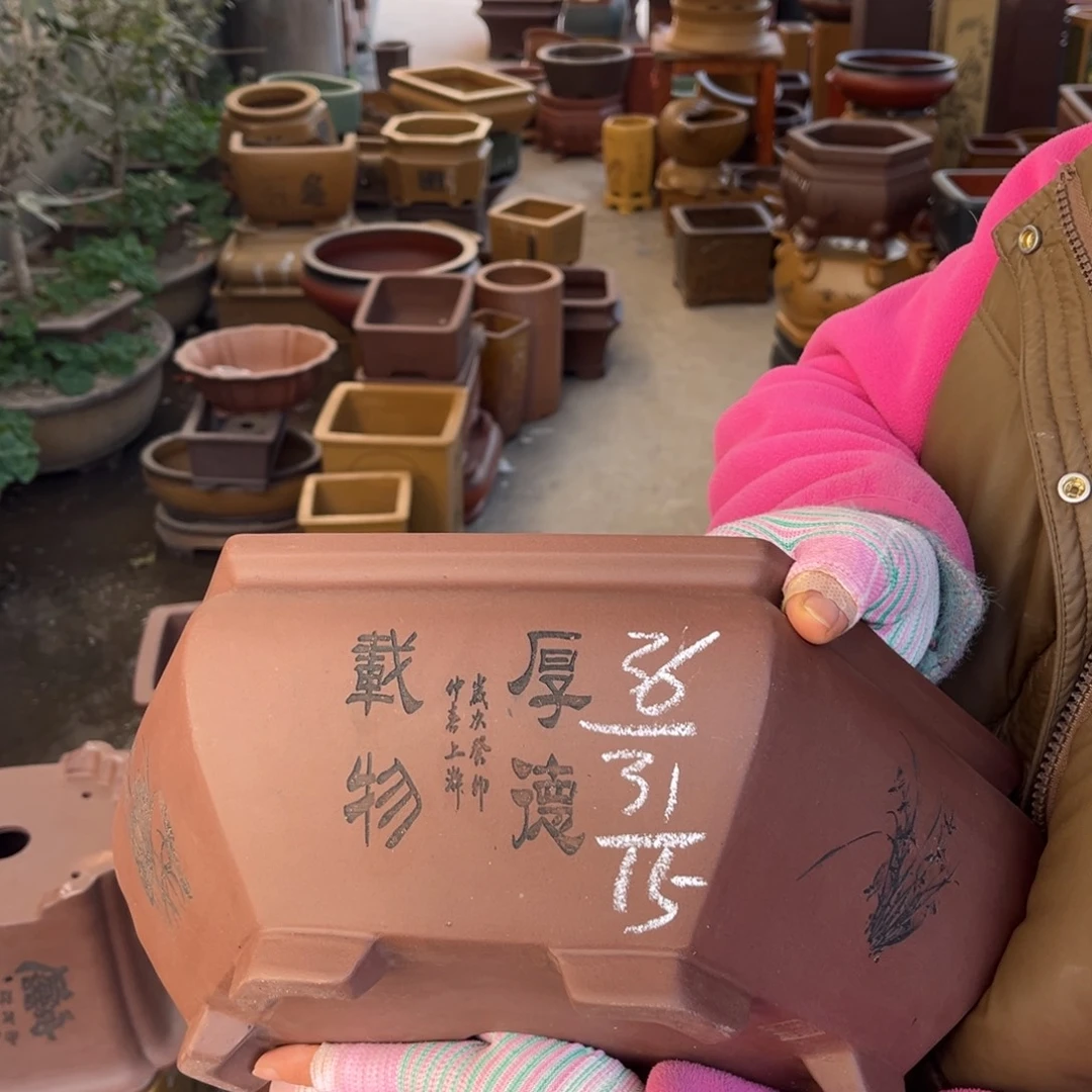 紫砂花盆盆景艺术