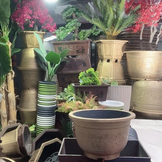 复合梅花照眼 依然旧风味