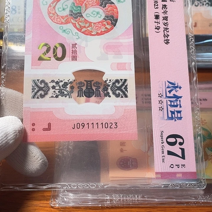 塑料091111023 蛇钞