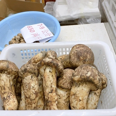 直播间一物一拍中国大陆