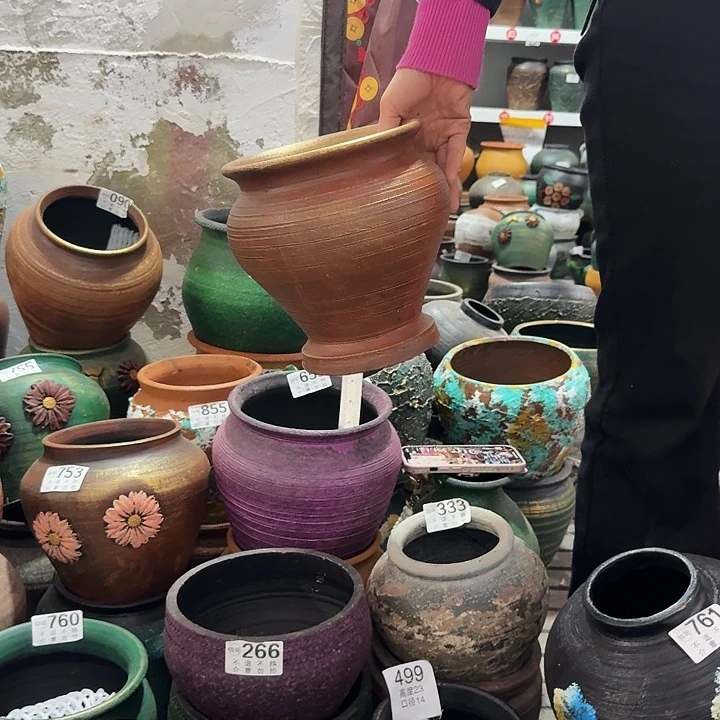 金色鱼尾680高度20口径18