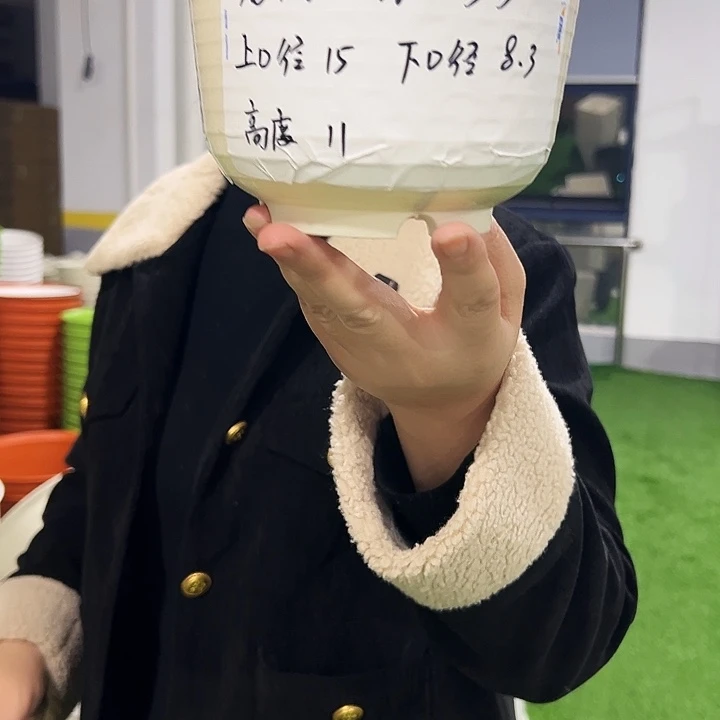 正品矮陶口15高11白色10只无托