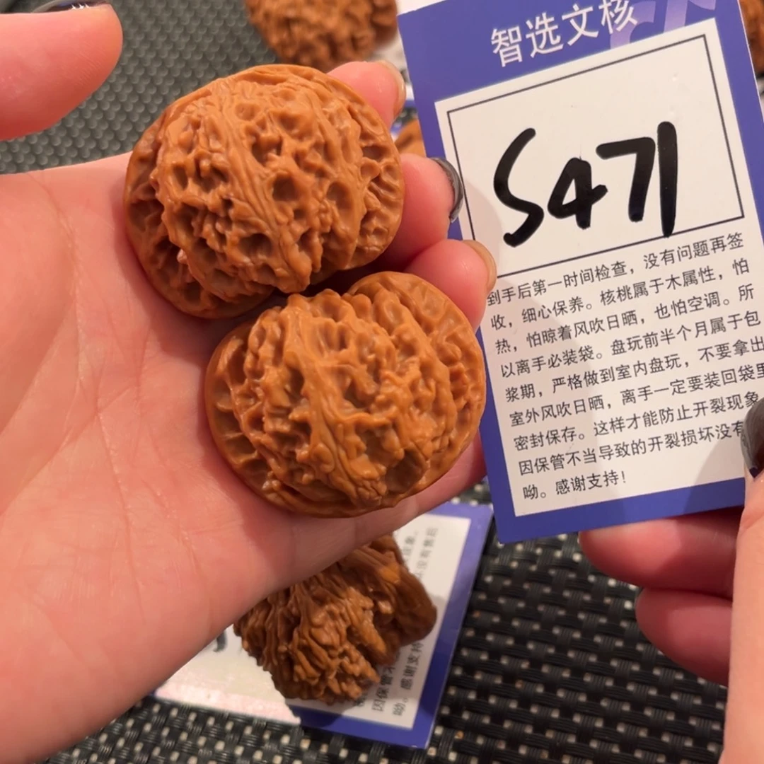 核桃S471号苹果园42尺