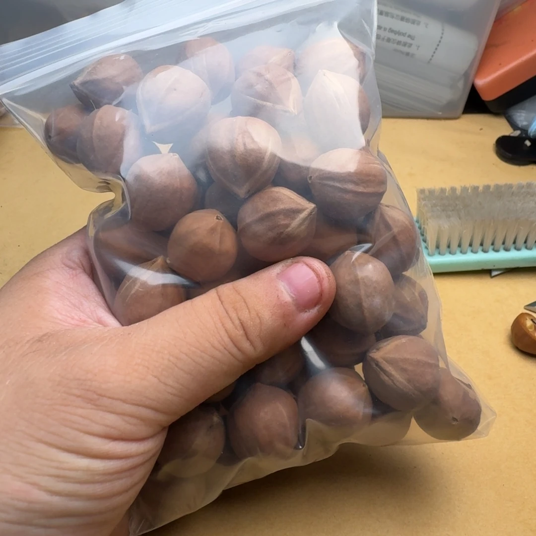 关***越橄榄核手串/手链1