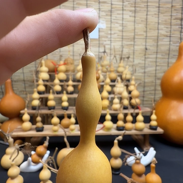 天津嘴葫芦，杆子干货