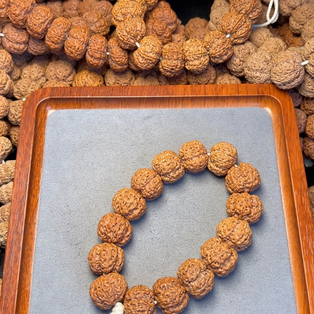 菩提11号尼泊尔大金刚21粗筋梅花双龙