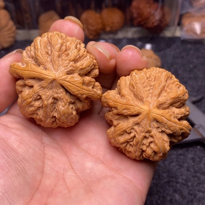 文玩核桃吊坠48大粗筋