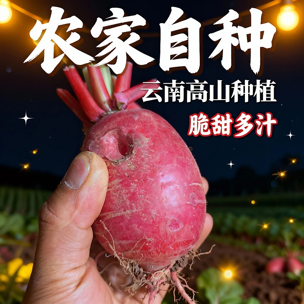 云南高山红皮萝卜带泥红萝卜新鲜农家脆甜多汁泡菜凉拌生吃