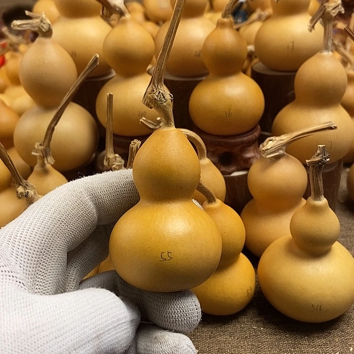 文玩葫芦 完美主义者 慎拍55