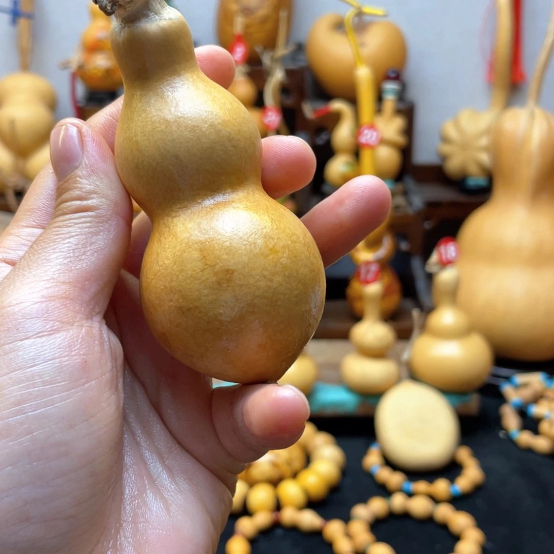 ?****好大自然的秘密第十一节课