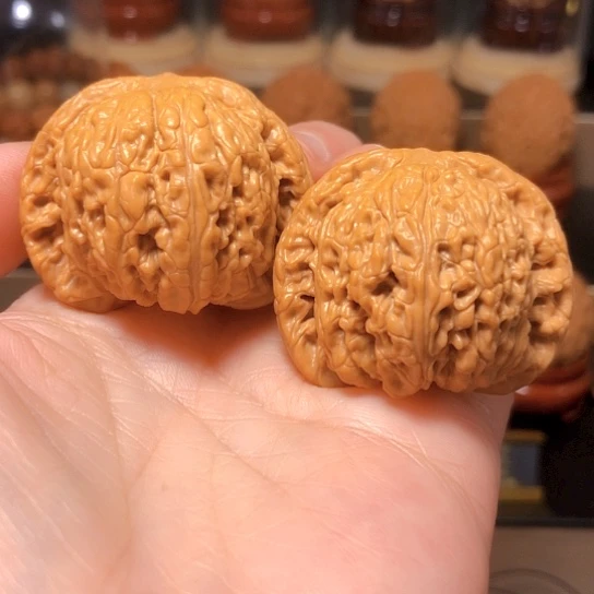 野生小众：红宝石