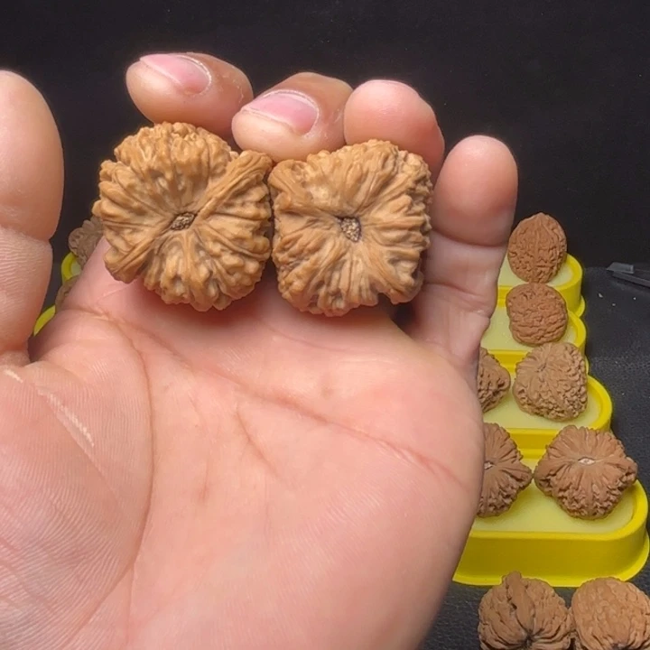 热****文玩核桃把件酒杯凹底35尺7