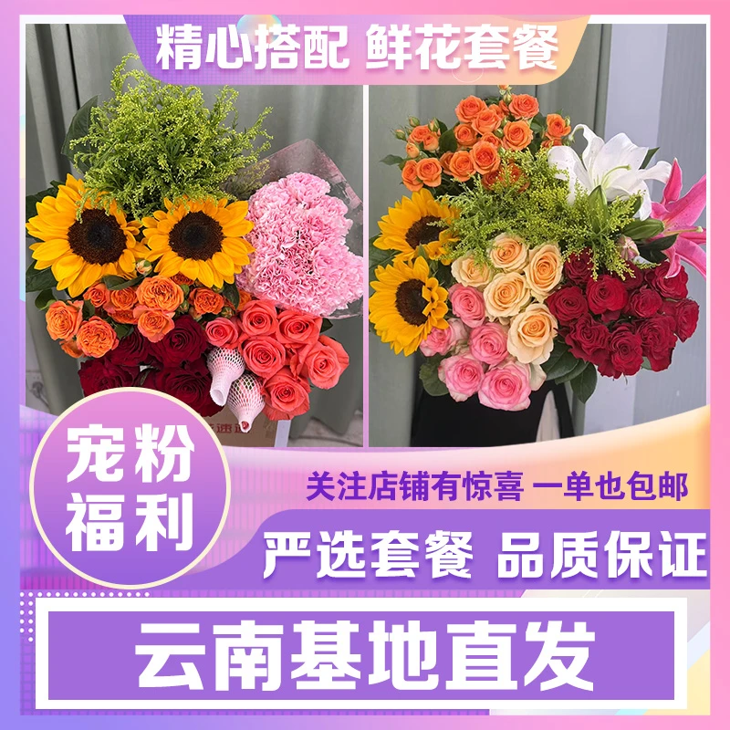 【爆款鲜花组合】鲜花玫瑰云南昆明基地鲜花生活鲜切花新手好养