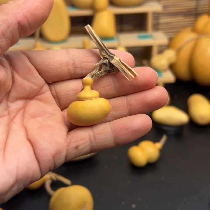 ?****炉固态葫芦葫芦葫芦葫芦葫芦