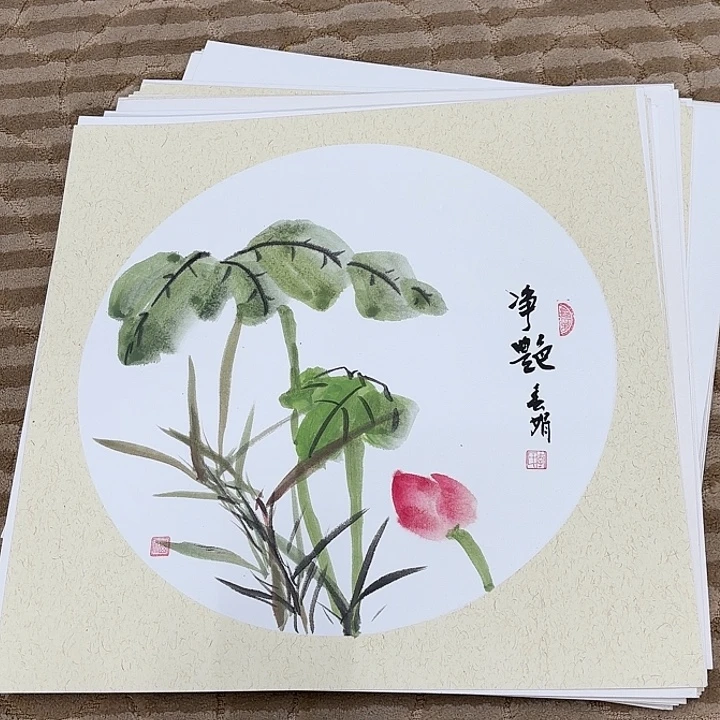 国画花鸟等多种鸟类的