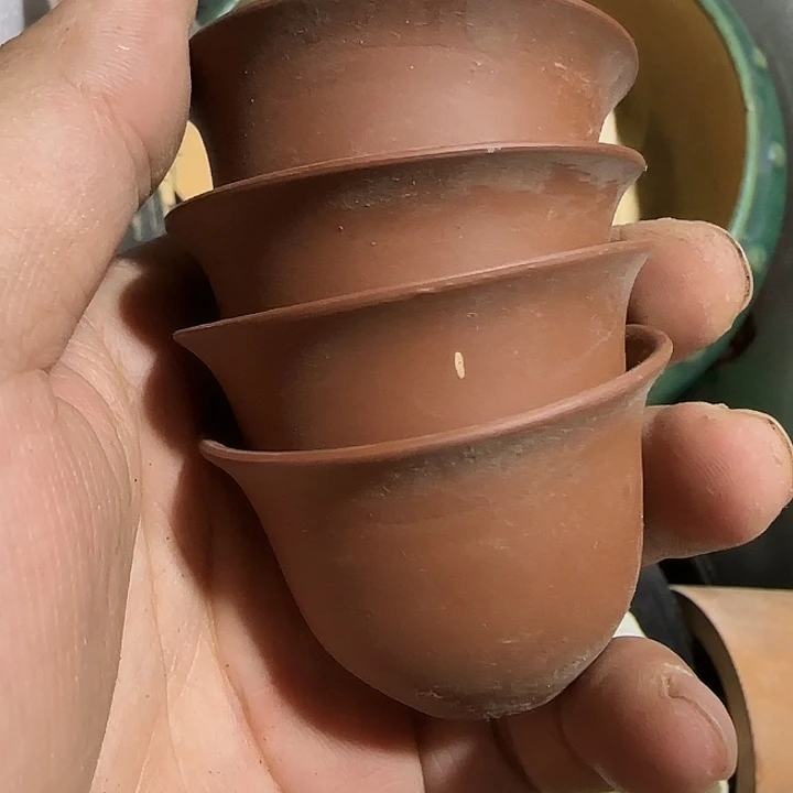 用***6香榧木ghhhbbbbbbbbbbb