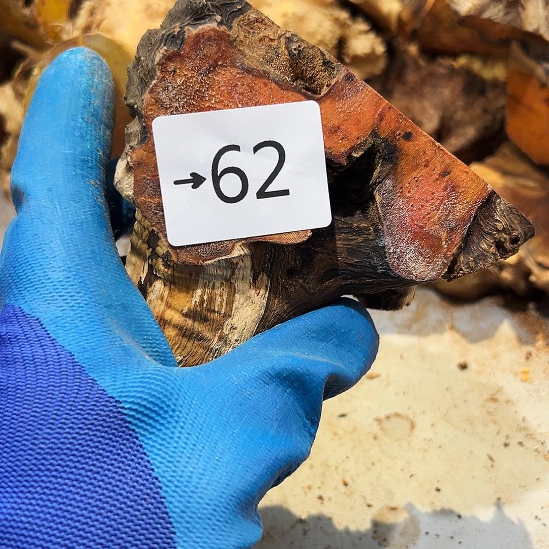 香榧木0****l火琉璃……火琉璃