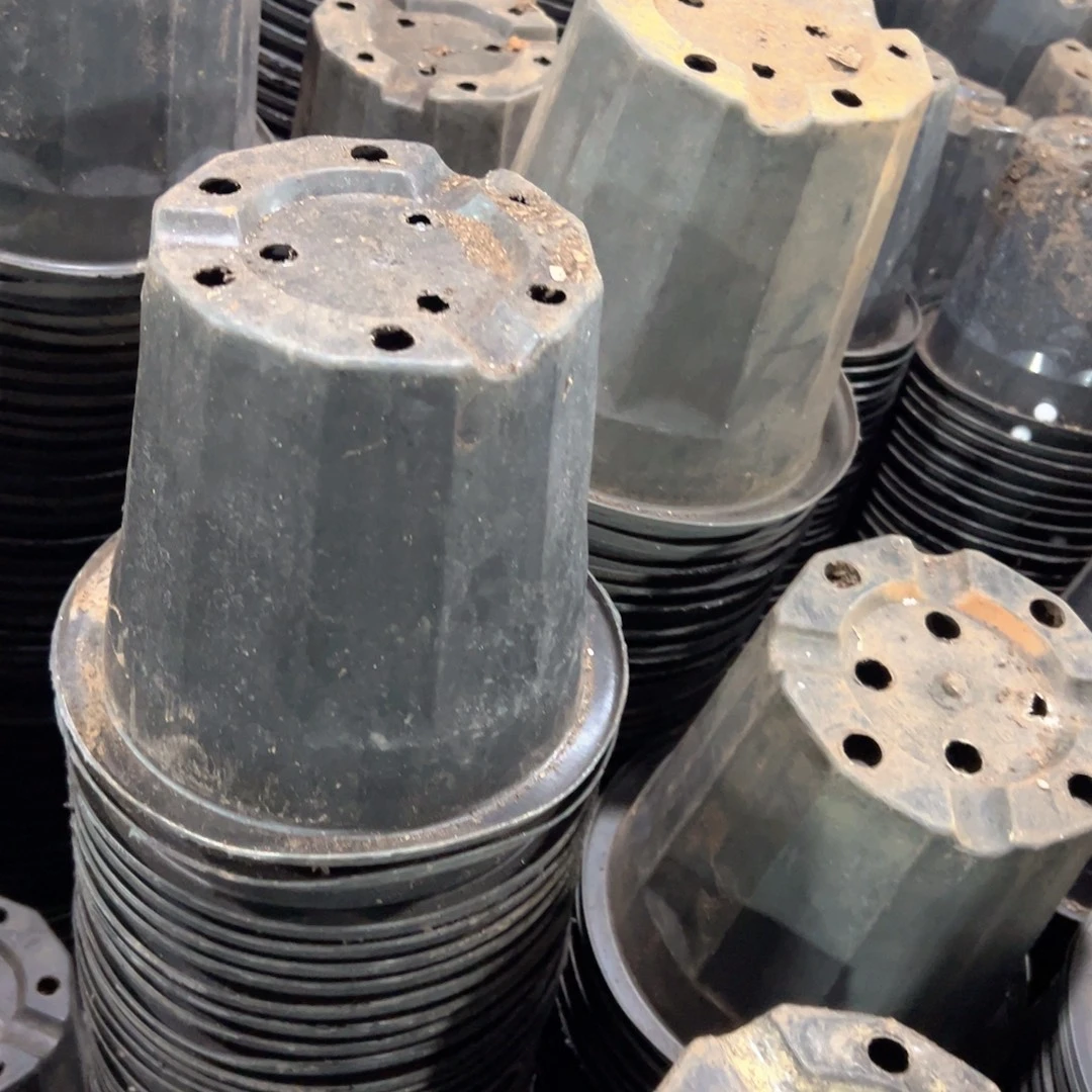 黑砖盆19口径15高 15个