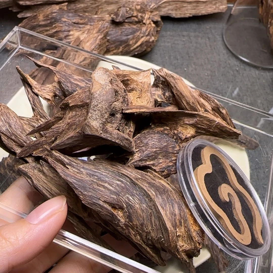 打***魚海南扭结壳子33.8克