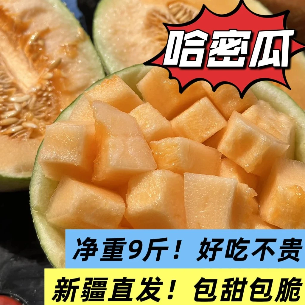 [真的从新疆直发！包脆包甜！新疆哈密瓜]夏天必吃，冷藏更赞