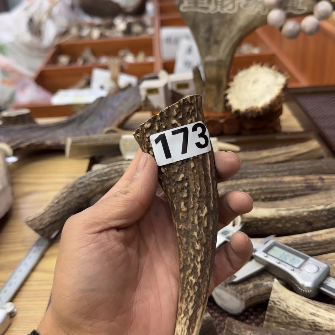 其他鹿骨鹿角刀柄料 173号