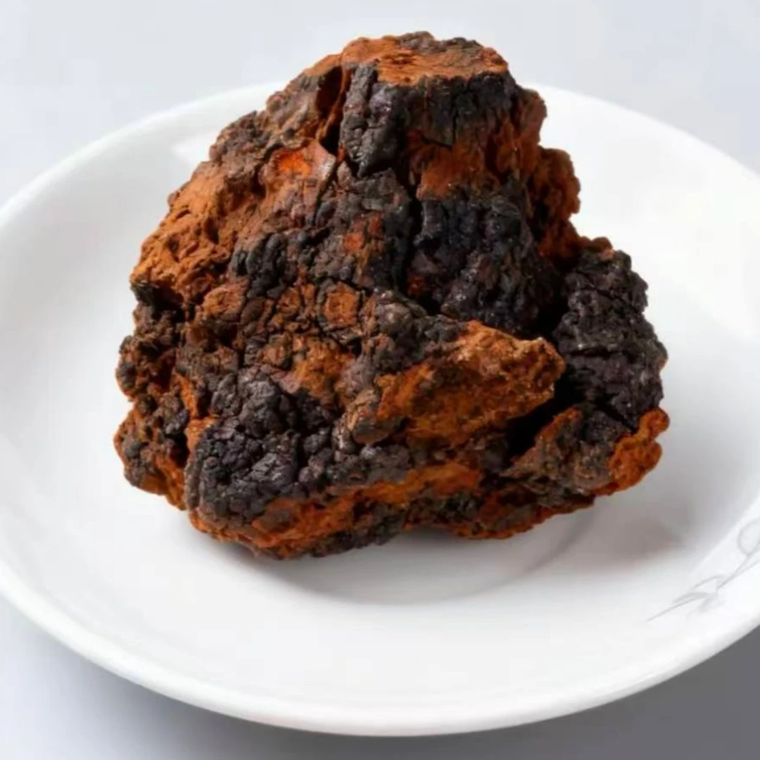 滋补华树荣盘250g