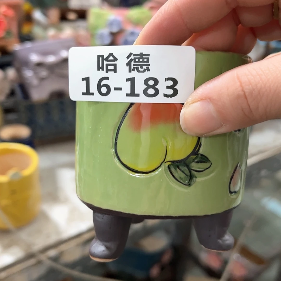 【闪购商品】红陶16183
