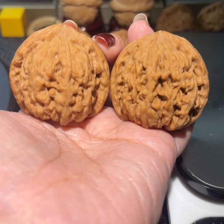 文玩核桃把件43蚂蚁王
